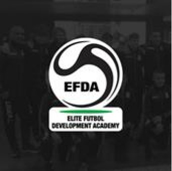 EFDA Academy