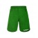 SHORTS BREST LEGEA